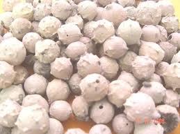 Gallnut Powder (Raw)