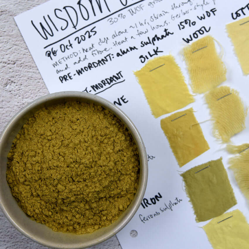 Wisdom orange natural dye powder with yellow fabric swatch test sheet