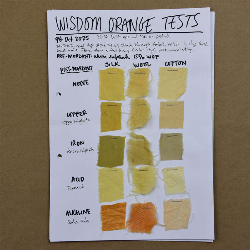 Wisdom orange dye test swatch sheet with silk, wool and cotton samples in yellow to orange shades