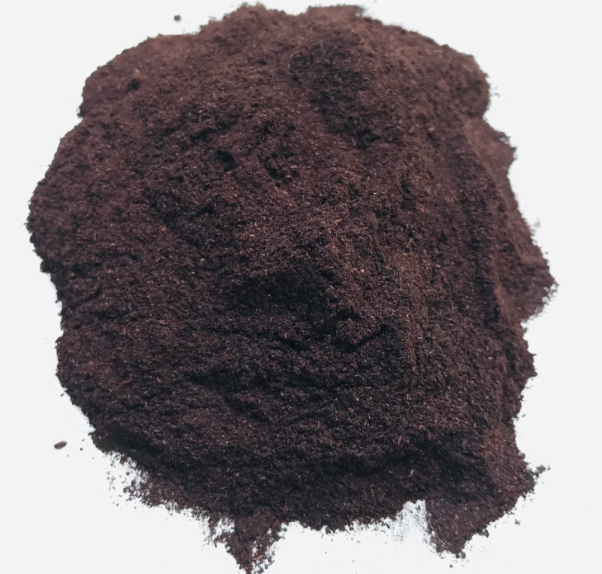 Alkanet Powder (Ratanjot)- Onosma Hispidum