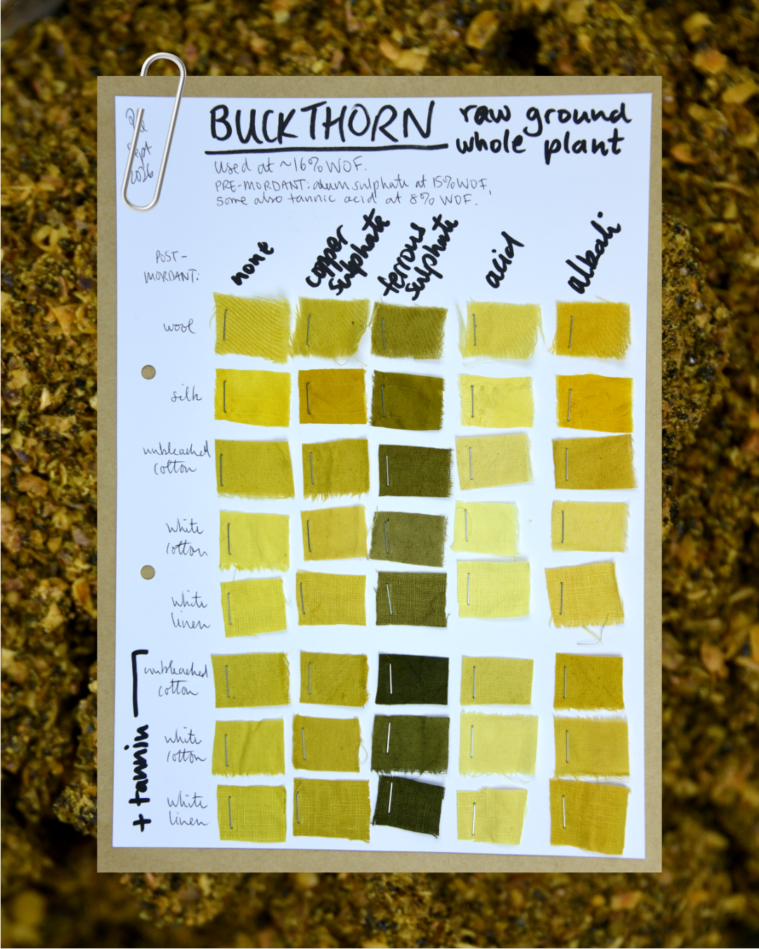 Buckthorn Raw Powder | Rhamnus petiolaris Boiss. – Natural Dye