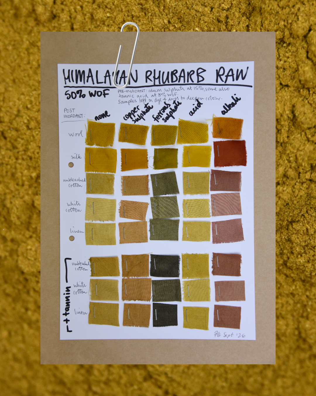Himalayan Rhubarb | Rheum emodi – Natural Dye Raw Powder