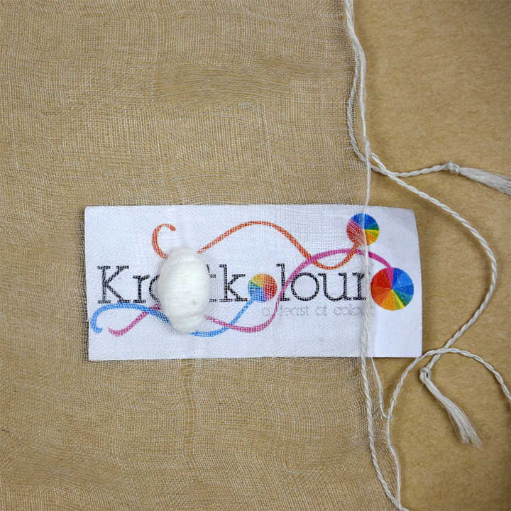 Handloomed Organza Silk Scarf with Cotton Balls 70 x 200cm – Natural White